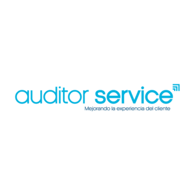 auditor-service-logo